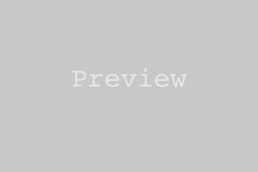 preview-placeholder-848653d31d3fa53f4f01d39ca0ae9dcf